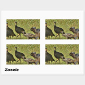 野生のトルコ、カモフラージカラー 長方形シール (シート)