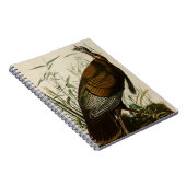 野生のトルコ ノートブック (右側)