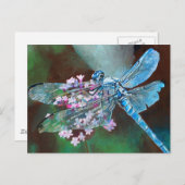 野生のニンニクで休む青いトンボ ポストカード (正面/裏面)