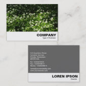 野生のニンニク 名刺 (正面/裏面)