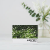 野生のニンニク 名刺 (スタンド正面)