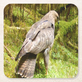野生のノスリの採餌シーンの詳細な鳥の芸術 スクエアペーパーコースター