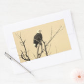 野生のハゲワシのステッカー 長方形シール (封筒)