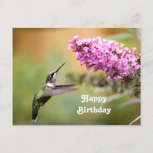 野生のハチドリの花の写真の誕生日 ポストカード