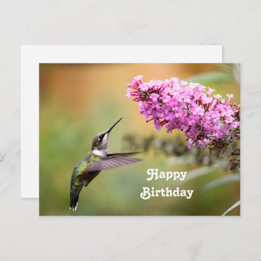 野生のハチドリの花の写真の誕生日 ポストカード (正面/裏面)