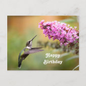 野生のハチドリの花の写真の誕生日 ポストカード (正面)
