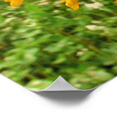 野生のハート，ひまわり，プリント ポスター (角)