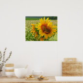 野生のハート，ひまわり，プリント ポスター (キッチン)