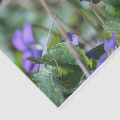 野生のバイオレット 薄葉紙 (詳細)