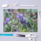 野生のバイオレット 薄葉紙 (クラフト)