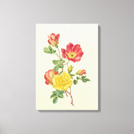 野生のバラの枝、アントワネット・ルーデン。 キャンバスプリント