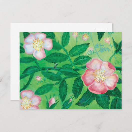 野生のバラの花 シーズンポストカード (正面/裏面)