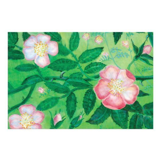 野生のバラの花 フォトプリント            (正面)