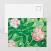 野生のバラの花 ポストカード (正面/裏面)