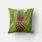 野生のパイナップル熱帯果実自然 クッション (裏面)