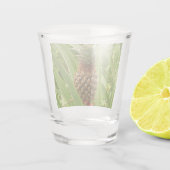 野生のパイナップル熱帯果実自然 ショットグラス (裏面)