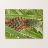 野生のパイナップル熱帯果実自然 ジグソーパズル (横)