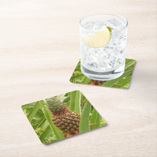 野生のパイナップル熱帯果実自然 スクエアペーパーコースター (インサイチュ)