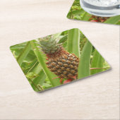 野生のパイナップル熱帯果実自然 スクエアペーパーコースター (アングル)