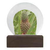 野生のパイナップル熱帯果実自然 スノーグローブ (裏面)