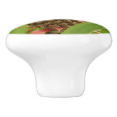 野生のパイナップル熱帯果実自然 セラミックノブ (側面)