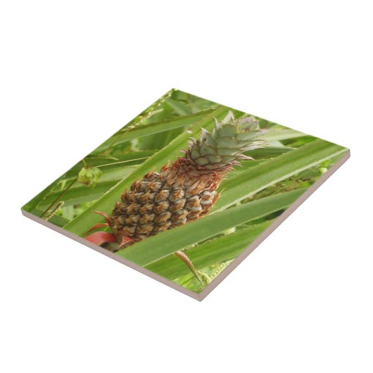 野生のパイナップル熱帯果実自然 タイル (側面)