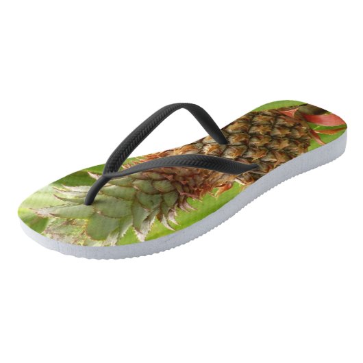 野生のパイナップル熱帯果実自然 ビーチサンダル (アングル)