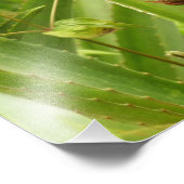 野生のパイナップル熱帯果実自然 フォトプリント (角)