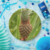 野生のパイナップル熱帯果実自然 ペーパープレート (パーティー)