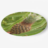 野生のパイナップル熱帯果実自然 ペーパープレート (アングル)