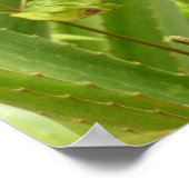 野生のパイナップル熱帯果実自然 ポスター (角)