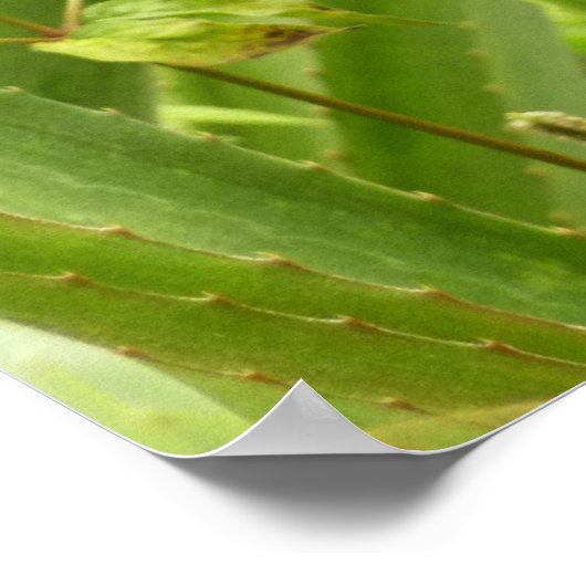 野生のパイナップル熱帯果実自然 ポスター (角)