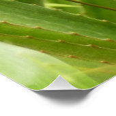 野生のパイナップル熱帯果実自然 ポスター (コーナー)