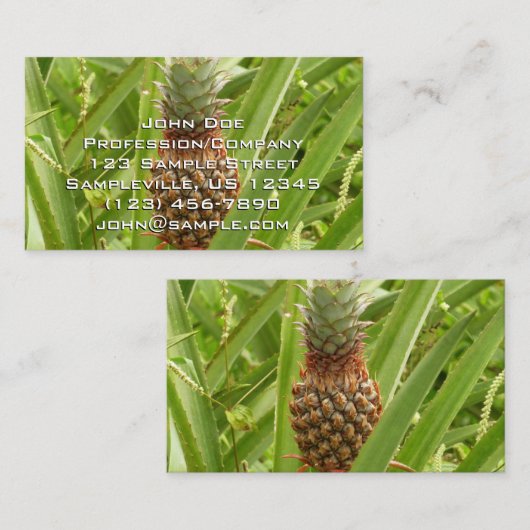 野生のパイナップル熱帯果実自然 名刺 (正面/裏面)