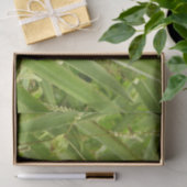 野生のパイナップル熱帯果実自然 薄葉紙 (ギフト)