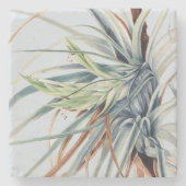 野生のパイナップル | by Mary Vaux Walcott 1921ポスター ストーンコースター (正面)