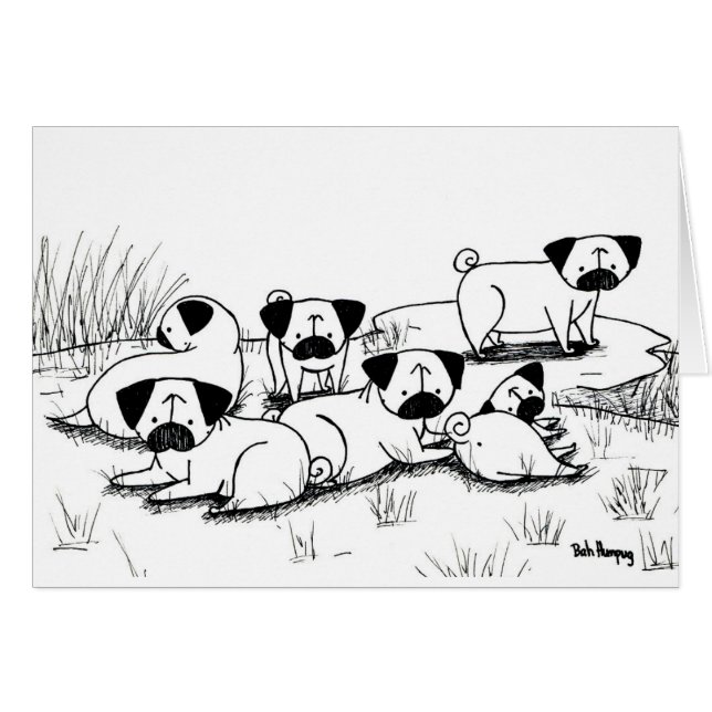 野生のパグの不平 (正面横)