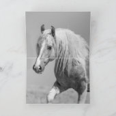 野生のパロミノピント野生の馬のグリーティングカード カード (内部)