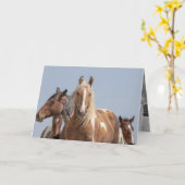 野生のパロミノピント野生の馬のグリーティングカード カード (黄色い花)