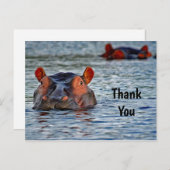 野生のヒポポタマスの水中の写真 ありがとう ポストカード (正面/裏面)