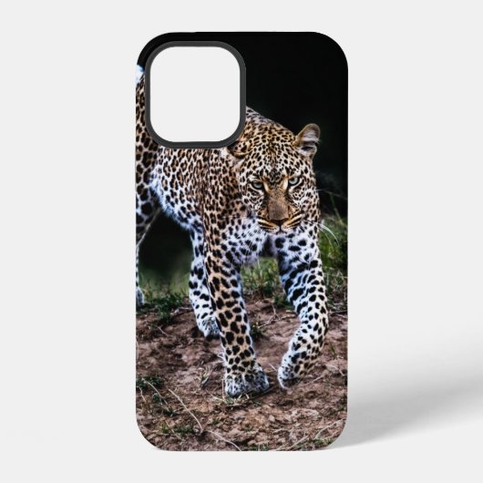 野生のヒョウ歩く iPhoneケース (裏面)