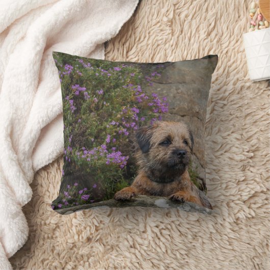 野生のヒースの装飾用クッションのボーダーテリア犬 クッション (ブランケット)
