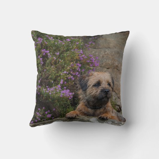 野生のヒースの装飾用クッションのボーダーテリア犬 クッション (裏面)