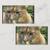 野生のピューマ 名刺 (正面/裏面)