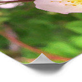 野生のピンクのバラの花のポスター ポスター (角)