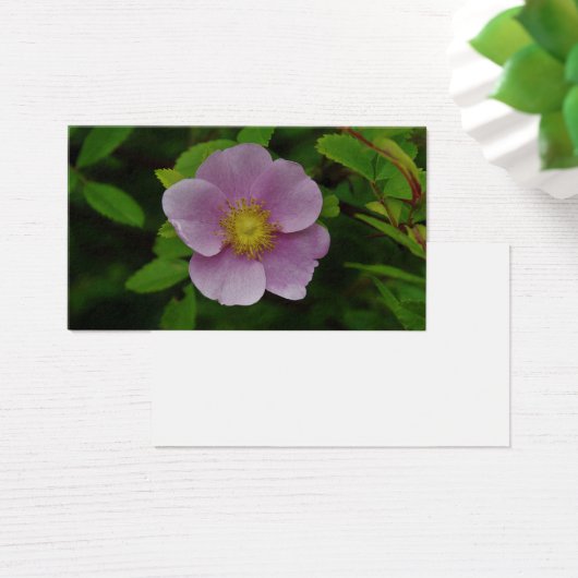 野生のピンクのバラ (デスク)