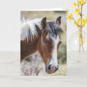 野生のピントのフィリー カード (黄色い花)