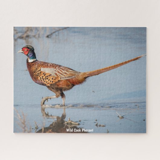 野生のフェサント ジグソーパズル (横)