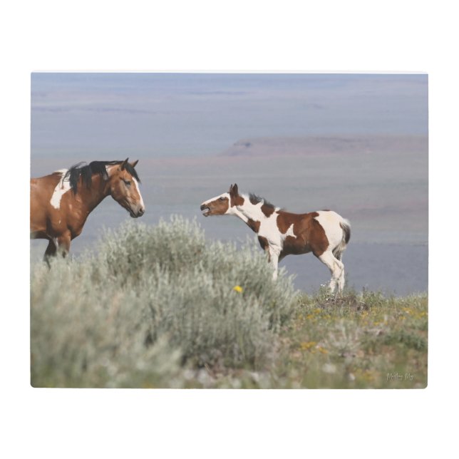 野生のフォールメタルアート16x20 メタルプリント (正面)