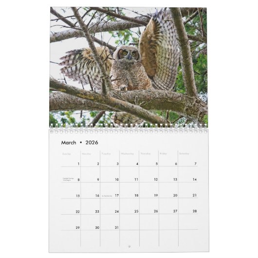野生のフクロウのカレンダー カレンダー (3月 2026)